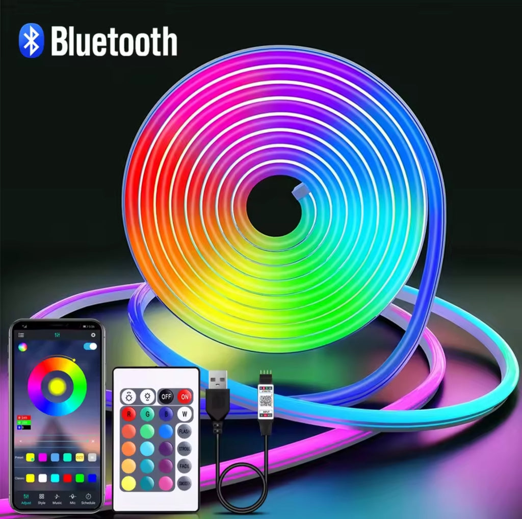 LED NEON RGB 5m